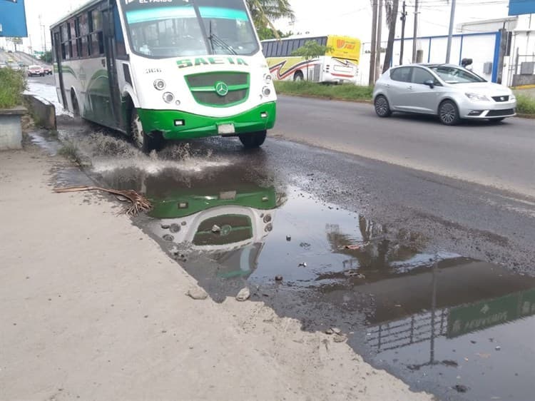 Piden el apoyo para eliminar encharcamiento de agua pluvial en colonia de Veracruz