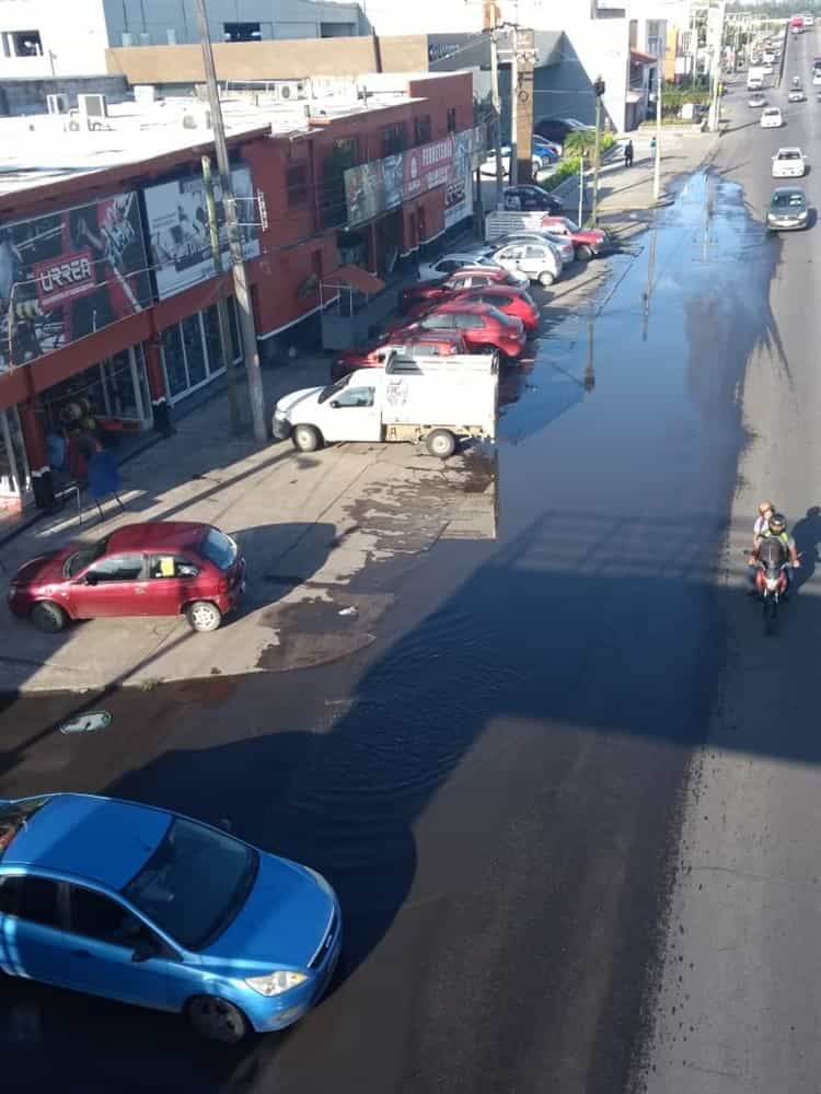 Piden el apoyo para eliminar encharcamiento de agua pluvial en colonia de Veracruz