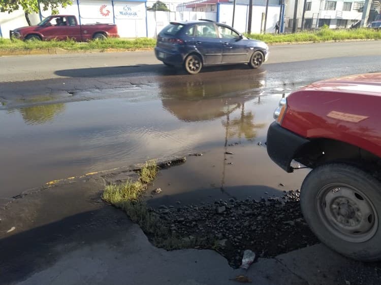 Piden el apoyo para eliminar encharcamiento de agua pluvial en colonia de Veracruz