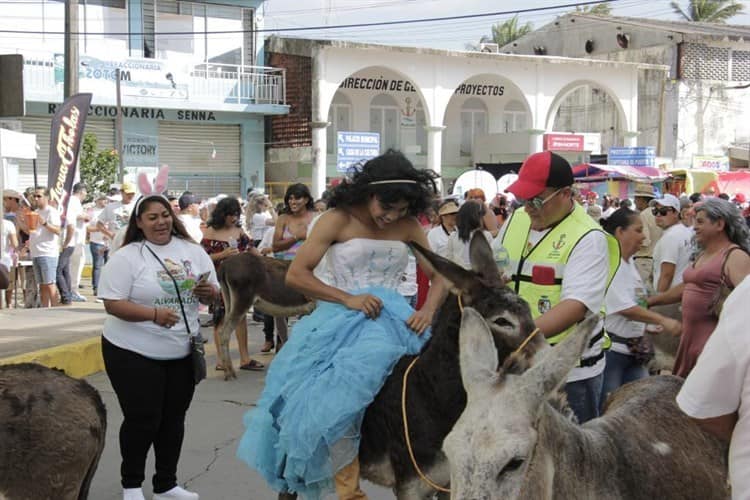 Encierro de Burros, una burla a la clase pudiente de Alvarado