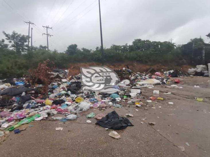 Montones de basura invaden acceso al panteón de Nanchital