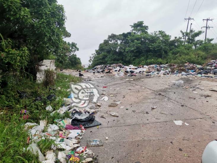 Montones de basura invaden acceso al panteón de Nanchital