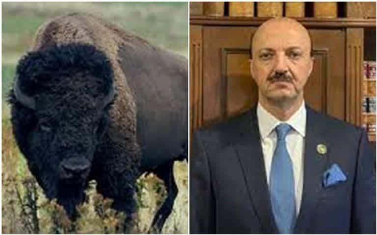 Mexicano fallece al ser embestido por un búfalo en Argentina, había ido a cazar