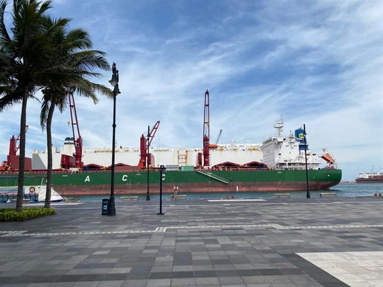Artesanos siguen sin aparecer tras retiro del Malecón de Veracruz (+Video)