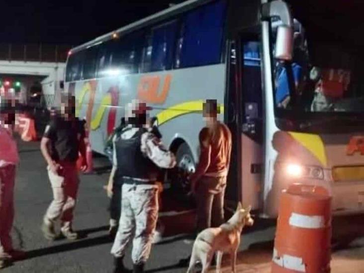 En operativos SSP aseguró a 96 migrantes en la zona centro y sur