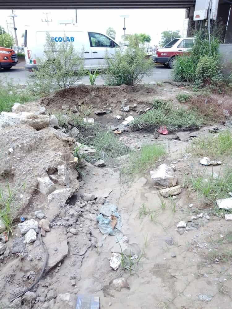 Inseguridad y baches se ha vuelto una lucha diaria para vecinos en Las Amapolas
