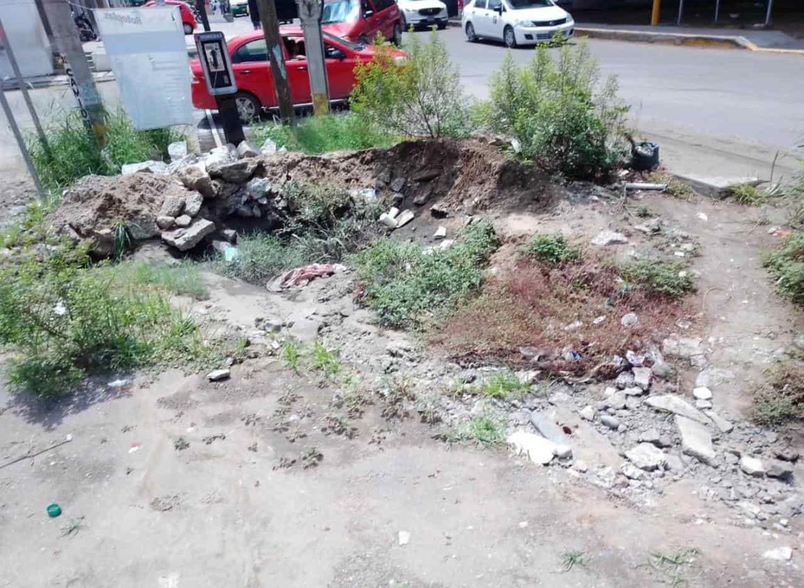 Inseguridad y baches se ha vuelto una lucha diaria para vecinos en Las Amapolas