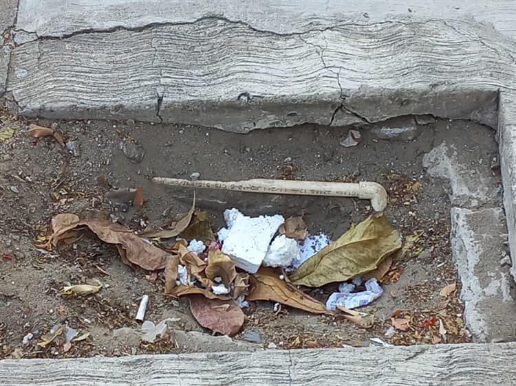 Registros sin tapa y calle en mal estado albergan la avenida Alacio Pérez en Veracruz