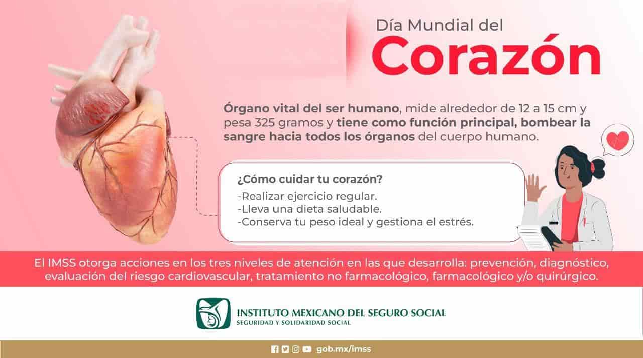 Conmemora IMSS Veracruz Sur Día Mundial del Corazón