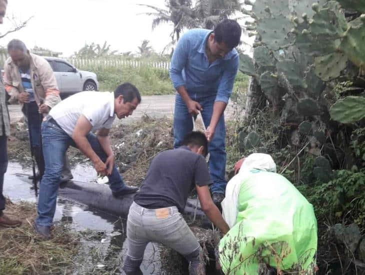 Reparan tubería y evitan inundaciones en villa Allende