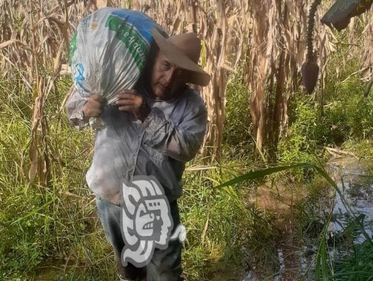 En la sierra, más de 400 hectáreas de maíz entre el agua