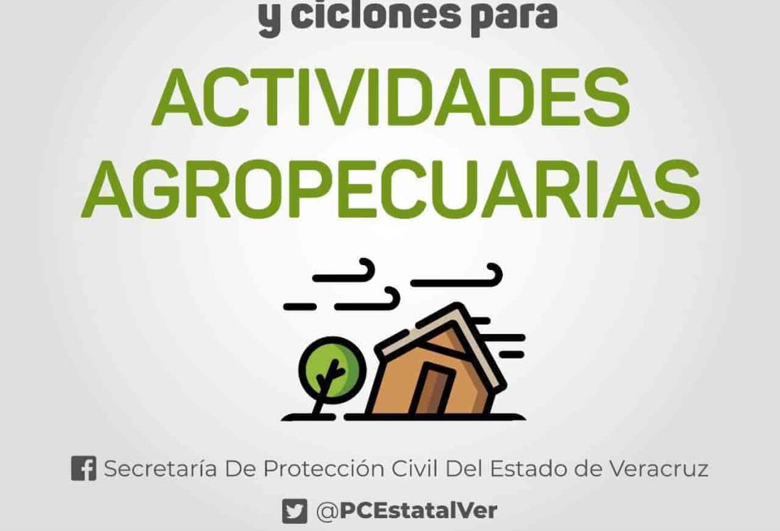 Si realizas actividades agropecuarias, toma estas precauciones ante tormenta tropical