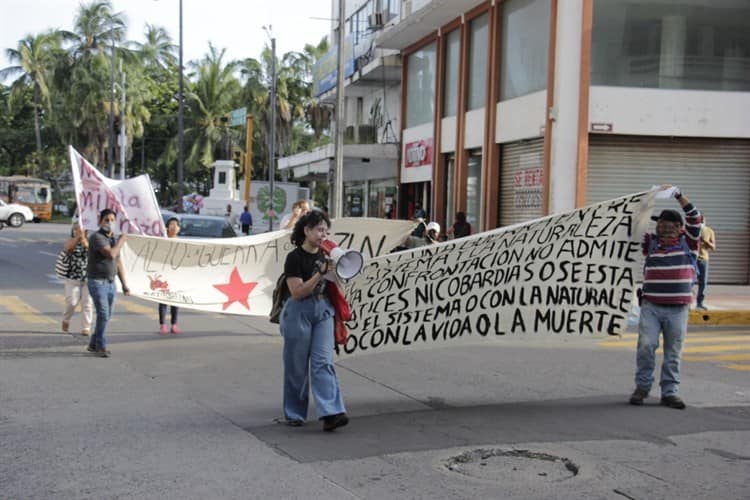 Activistas promueven la creación de policías comunitarios(+Video)