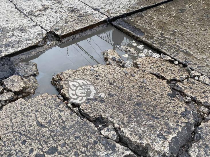Xalapa: calle Magnolia, ‘dolor de cabeza’ de vecinos; señalan baches con llantas