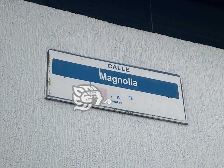Xalapa: calle Magnolia, ‘dolor de cabeza’ de vecinos; señalan baches con llantas