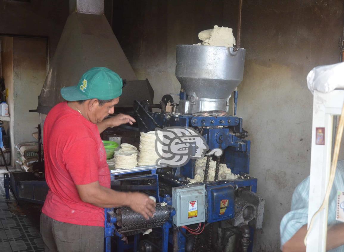 Por las ‘nubes’ precio de la tortilla en Agua Dulce; hasta en 27 pesos en kilo