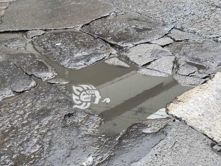 Xalapa: calle Magnolia, ‘dolor de cabeza’ de vecinos; señalan baches con llantas