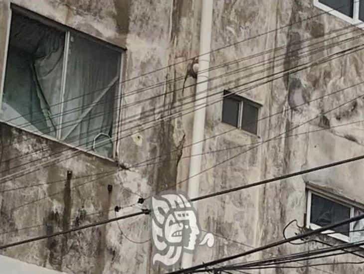 Ventanales de los edificios de Playa Sol a punto de caer