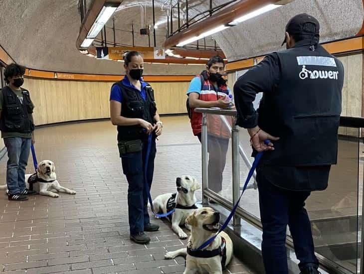 Sacan del metro a entrenadores de perros guía; indignación en redes