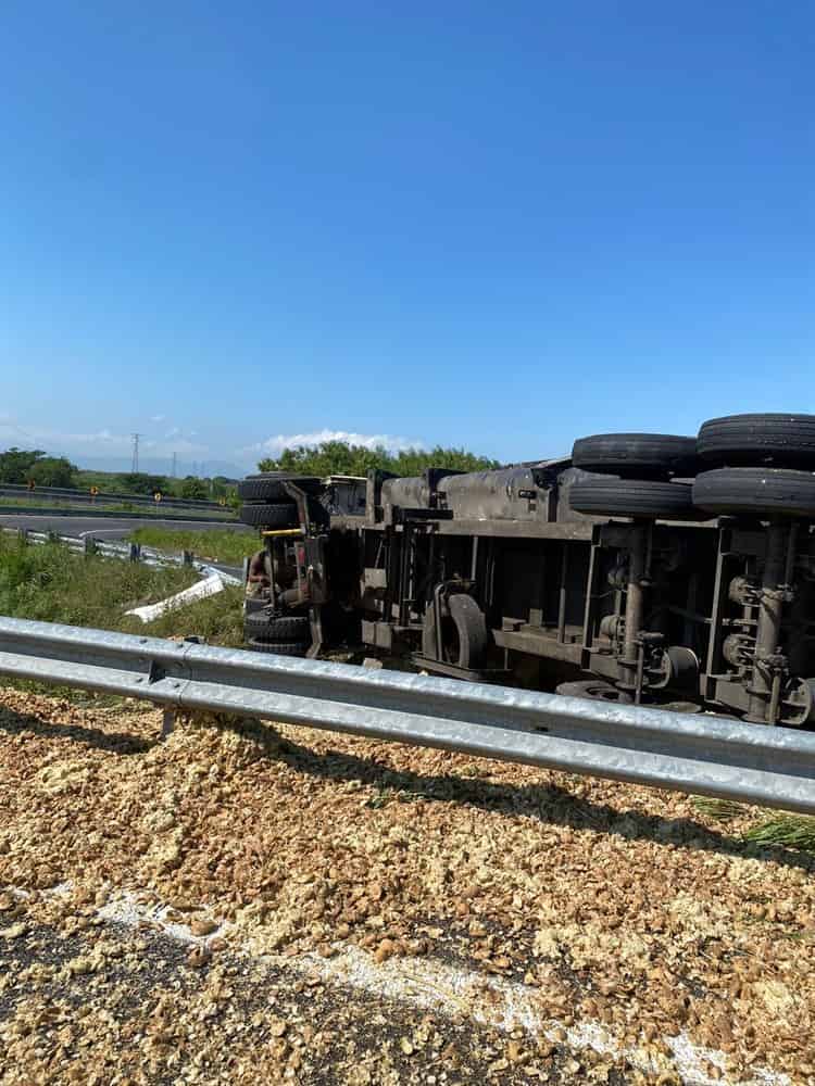 Vuelca tráiler cargado con cáscara de caña para cochinos en libramiento de Cardel