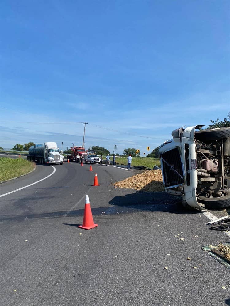 Vuelca tráiler cargado con cáscara de caña para cochinos en libramiento de Cardel