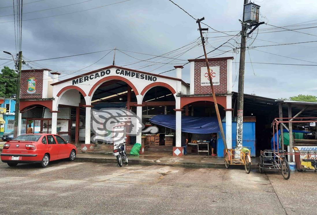 Locatarios molestos, por basura en mercado de Agua Dulce