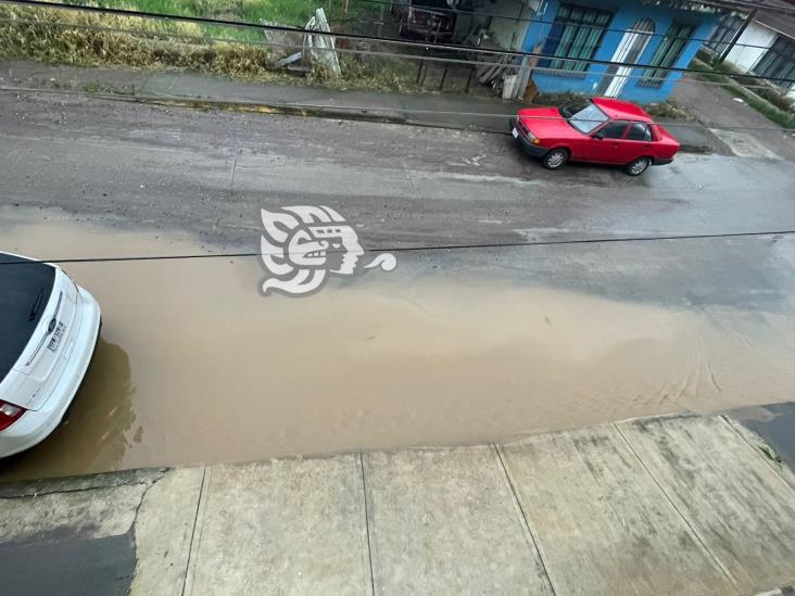 Aguas negras inundan esta colonia de Xalapa