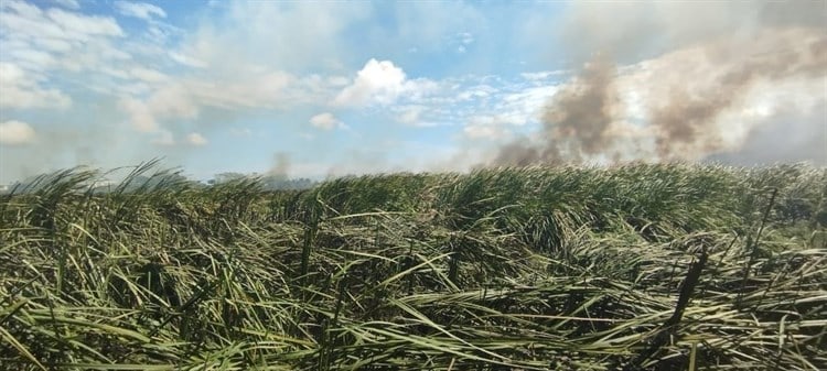 Incendio en pastizal provoca movilización de cuerpos de emergencia en Veracruz