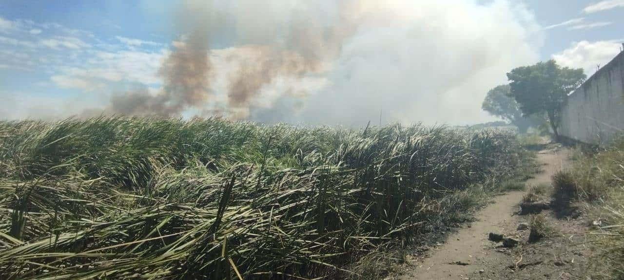 Incendio en pastizal provoca movilización de cuerpos de emergencia en Veracruz