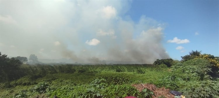 Incendio en pastizal provoca movilización de cuerpos de emergencia en Veracruz