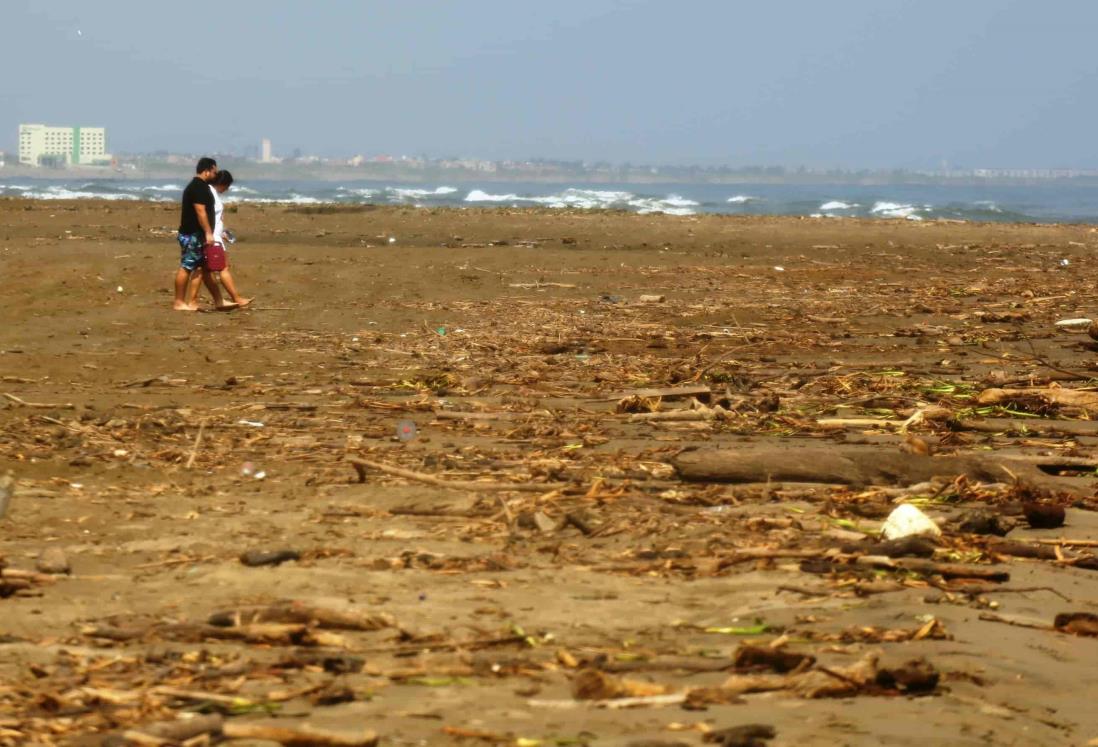 Limpiemos nuestra playa, invitan a porteños a sumarse