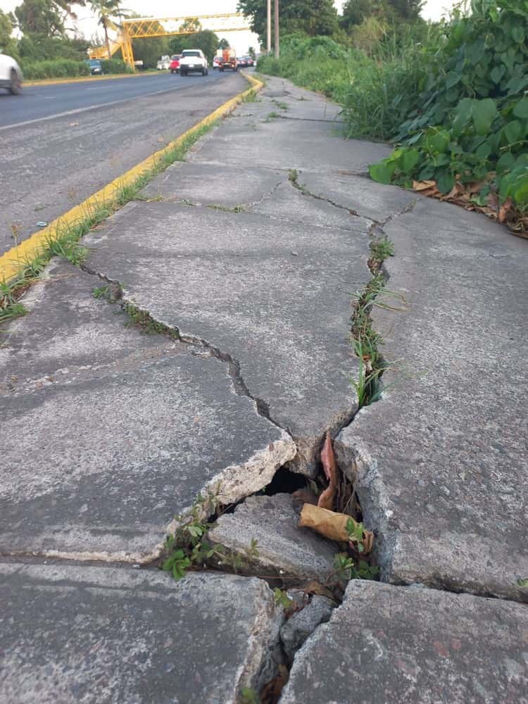 Vecinos de Geovillas del Puerto piden mantenimiento para banquetas deterioradas