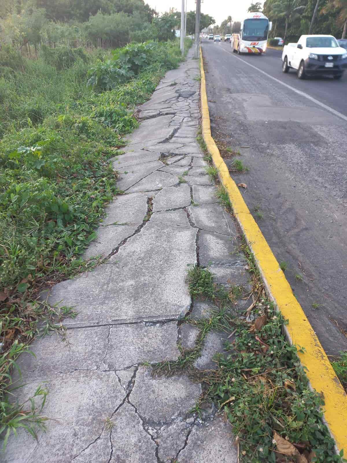 Vecinos de Geovillas del Puerto piden mantenimiento para banquetas deterioradas