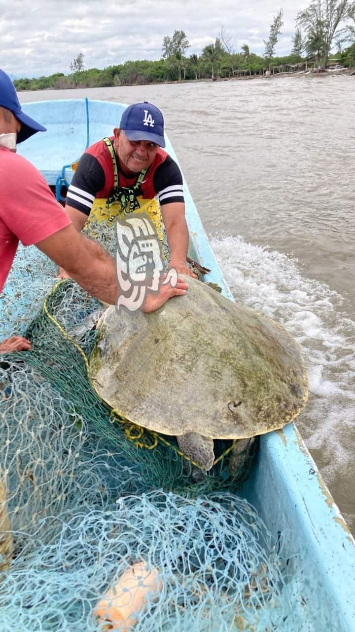 Pescadores de Costa Esmeralda rescatan tortuga marina