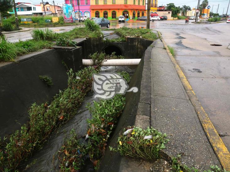 Basura taponea canal en la avenida Jirafas(+Video)