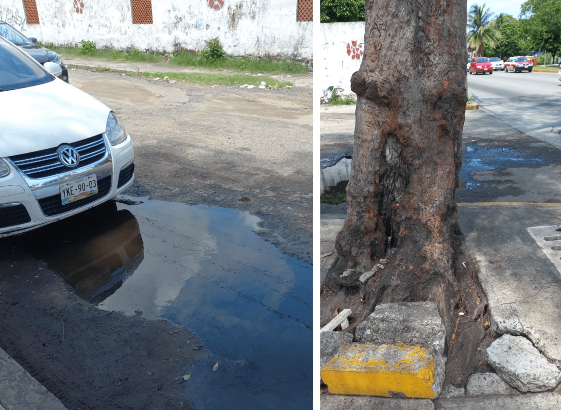 “Charcos profundos” y banquetas en mal estado afectas a vecinos de Las Granjas