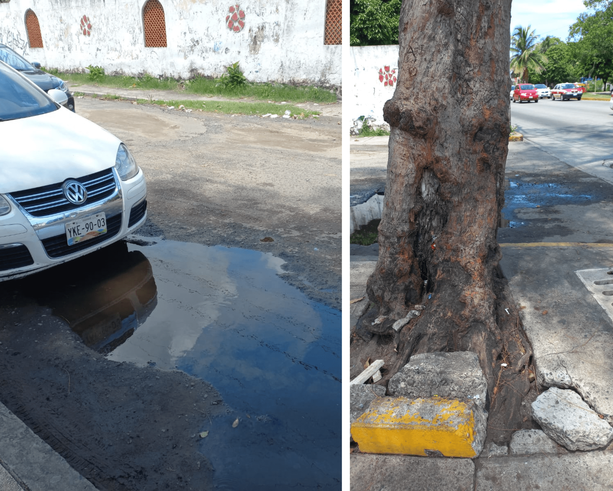 “Charcos profundos” y banquetas en mal estado afectas a vecinos de Las Granjas