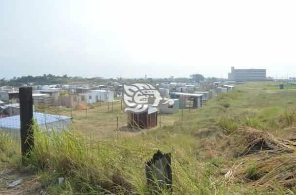 Activan cuadrillas para evitar invasión de áreas verdes en Coatzacoalcos