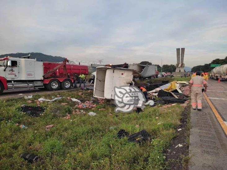 Tráiler con embutidos se parte en la Córdoba-Veracruz; rapiñeros hacen su agosto