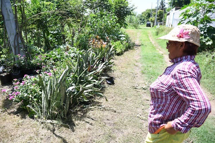 ¿Sabes cómo se creó la cooperativa “Hormigas Acuáticas” en Veracruz?