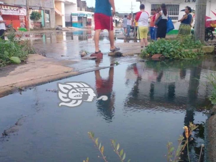 Hartos vecinos de la Miguel Hidalgo de caminar entre aguas negras (+video)