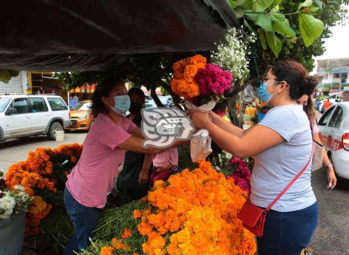 Expedirán permisos para ventas cerca de panteones (+Video)