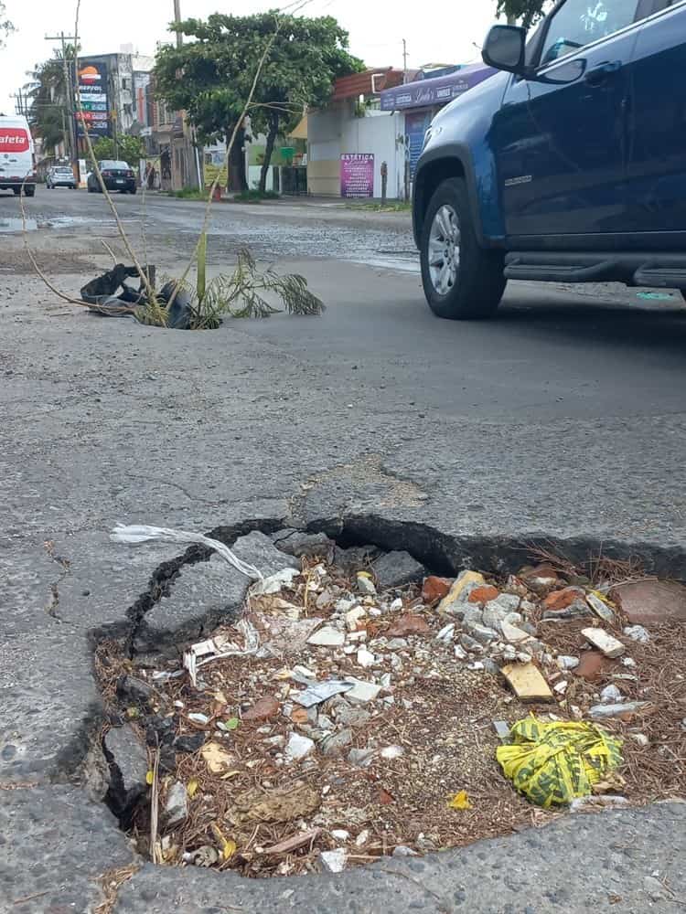 Socavón en Veracruz lleva semanas sin ser reparado, se crean 3 más alrededor(+Video)