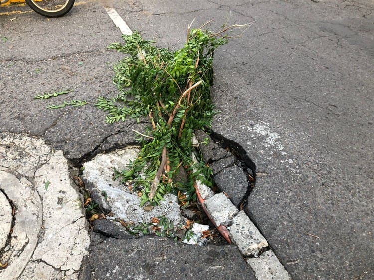 Vecinos se quejan de calles del fraccionamiento Reforma; hay baches en cada cuadra