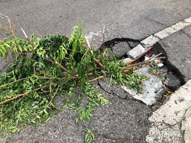 Vecinos se quejan de calles del fraccionamiento Reforma; hay baches en cada cuadra