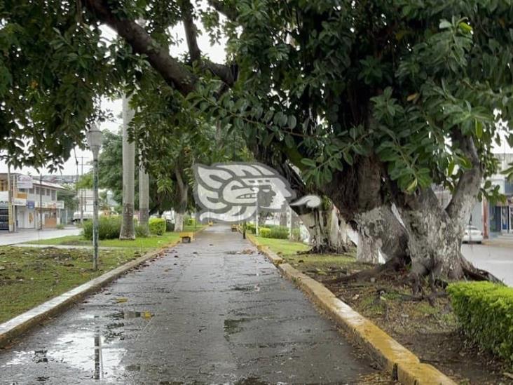 En alerta, zona norte de Veracruz ante Frente Frío 4