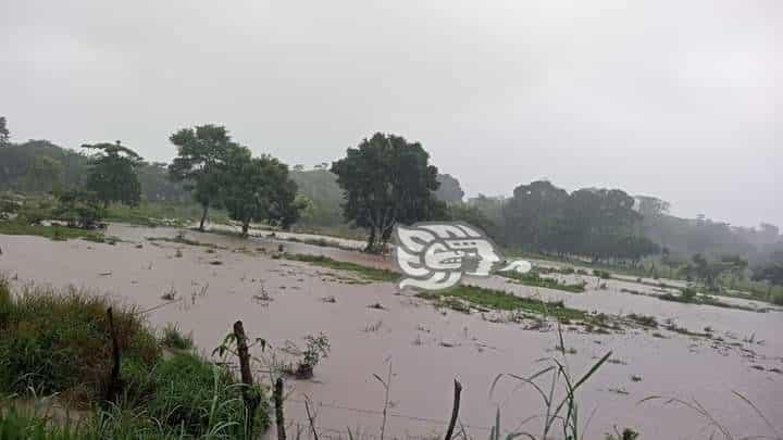 En escala crítica arroyos que cruzan por Moloacán y Las Choapas