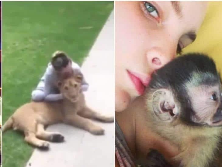 Belinda, acusada de tener animales exóticos en cautiverio