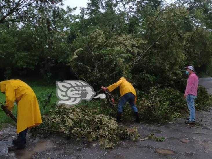 Frente Frío 4 deja afectaciones en Misantla: PC