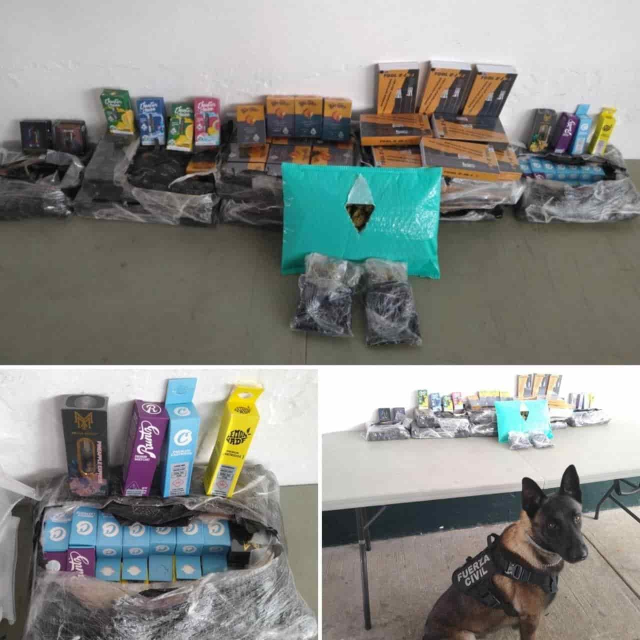 Agente canino descubre vapeadores en centro de paquetería en Xalapa